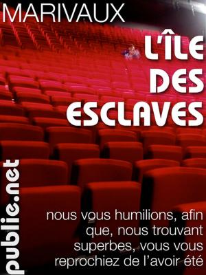 Cover of the book L'ïle des esclaves by Jacques Ancet