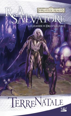 Cover of the book Terre Natale: La Légende de Drizzt, T1 by Mathias Moucha