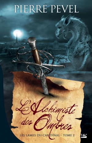 Cover of the book L'Alchimiste des Ombres by Mélanie Fazi