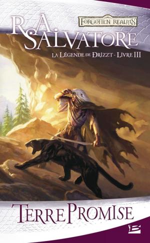 Cover of the book Terre promise: La Légende de Drizzt, T3 by Richard Sapir, Warren Murphy
