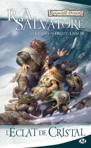 Cover of the book L'Éclat de cristal by Fabrice Colin, Mathieu Gaborit