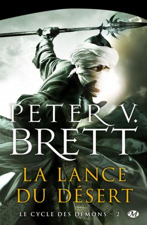 Cover of the book La Lance du désert by Johana Gustawsson