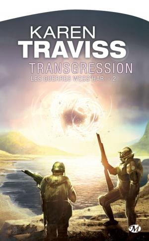 Cover of the book Transgression by Markus Heitz
