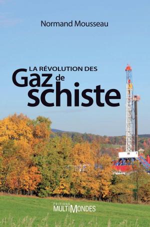 Cover of the book La révolution des gaz de schiste by Daniel Samson-Legault