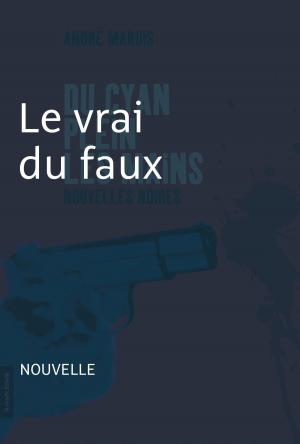Cover of the book Le vrai du faux by François Gravel