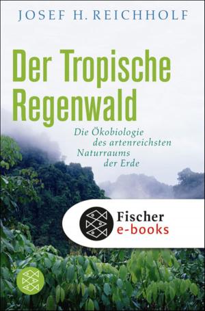 Book cover of Der tropische Regenwald
