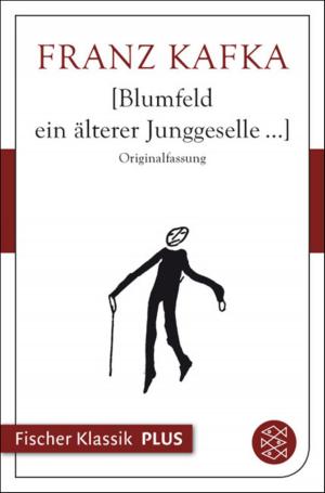 Book cover of Blumfeld ein älterer Junggeselle...