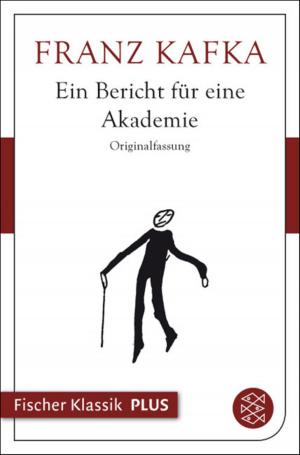 Book cover of Ein Bericht für eine Akademie