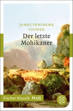 Book cover of Der letzte Mohikaner