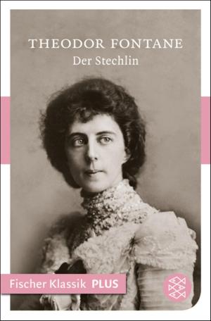 Cover of the book Der Stechlin by Rudyard Kipling, Gisbert Haefs