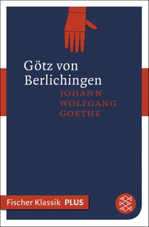 Cover of the book Götz von Berlichingen mit der eisernen Hand by Reiner Stach