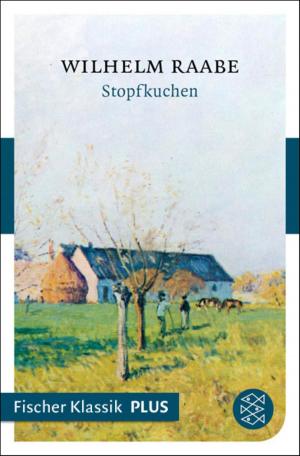 Cover of the book Stopfkuchen by Jean Paul