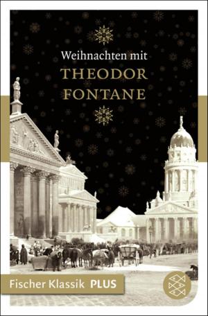 Book cover of Weihnachten mit Theodor Fontane