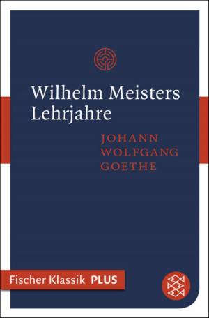 Cover of the book Wilhelm Meisters Lehrjahre by Barbara Wood