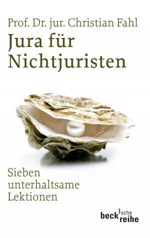 Cover of the book Jura für Nichtjuristen by Jan Assmann