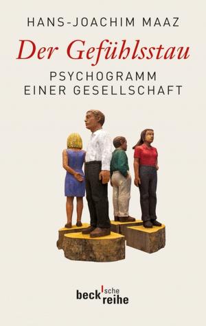 Cover of the book Der Gefühlsstau by Thomas Maissen