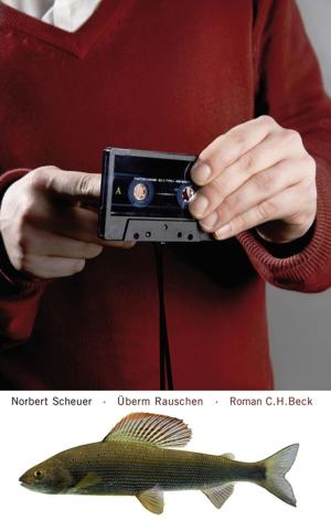 Cover of the book Überm Rauschen by Rory Scarfe