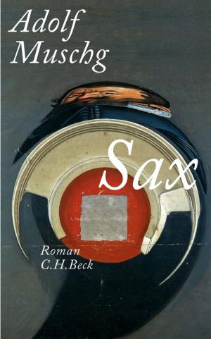 Cover of the book Sax by Rupert Neudeck