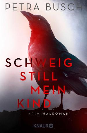 Cover of the book Schweig still, mein Kind by Anna Doubek
