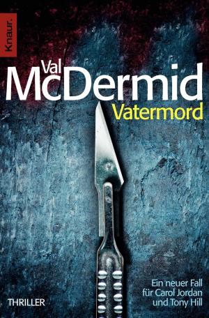 Cover of the book Vatermord by Anne Hertz