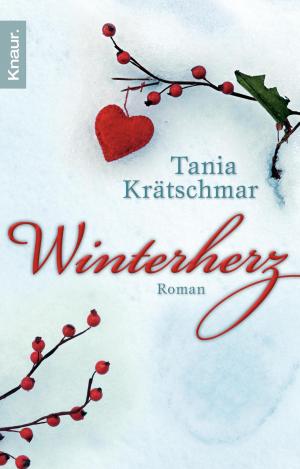 Cover of the book Winterherz by Heidi Rehn