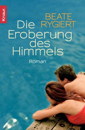 Book cover of Die Eroberung des Himmels