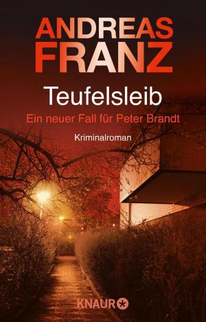 Cover of the book Teufelsleib by John Friedmann