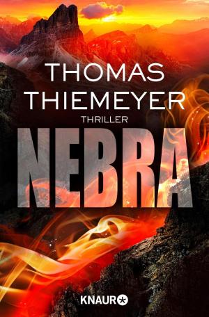 Cover of the book Nebra by C.J. Francis
