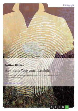 Cover of the book Auf dem Weg zum Leitbild: Prozessschritte, Gelingensbedingungen und Hemmnisse in der Leitbildentwicklung by Florian Hempel