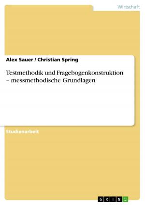 Cover of the book Testmethodik und Fragebogenkonstruktion - messmethodische Grundlagen by Hans-Jürgen Borchardt