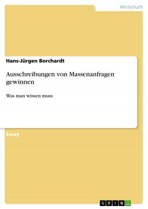 Cover of the book Ausschreibungen von Massenanfragen gewinnen by Jenny Geihsen