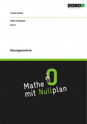 Cover of the book Raumgeometrie by Magret Werth
