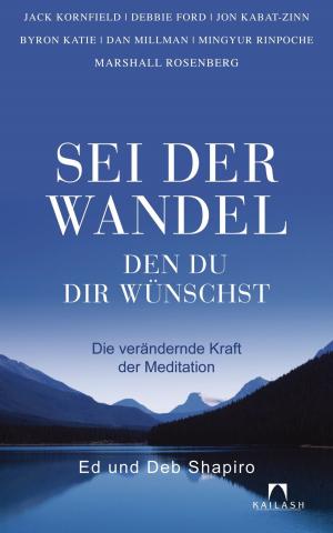 Cover of the book Sei der Wandel, den du dir wünschst by Aljoscha Long, Ronald Schweppe