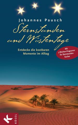 Cover of the book Sternstunden und Wüstentage by Antje Vollmer