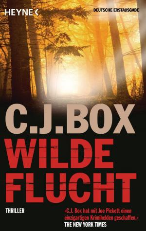 Cover of the book Wilde Flucht by Christian Seidel