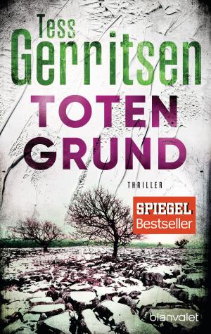 Cover of the book Totengrund by James Patterson