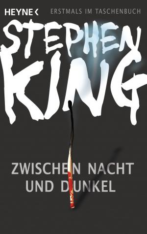 Book cover of Zwischen Nacht und Dunkel