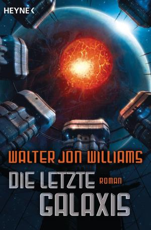 Book cover of Die letzte Galaxis