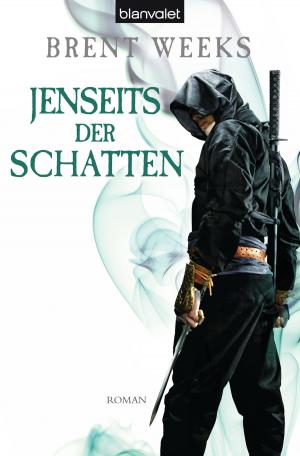 Cover of the book Jenseits der Schatten by Sheri Kurtz