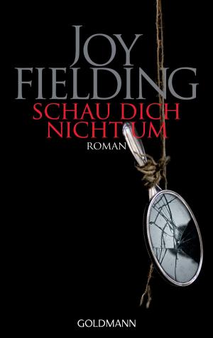 Cover of the book Schau dich nicht um by David Harp