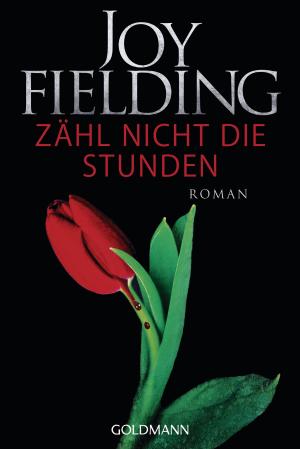 Cover of the book Zähl nicht die Stunden by Joe Sharpe