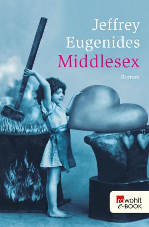Book cover of Middlesex