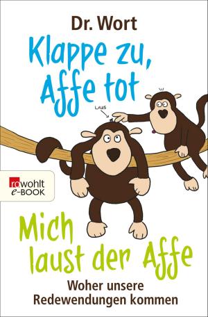 Cover of the book Klappe zu, Affe tot by Fritz J. Raddatz