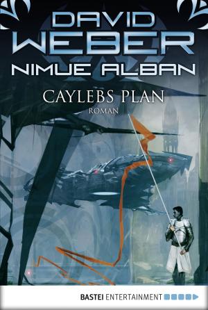 Book cover of Nimue Alban: Caylebs Plan