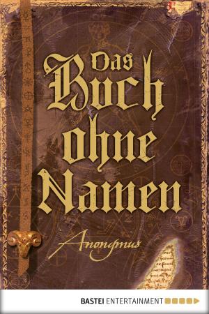 Book cover of Das Buch ohne Namen