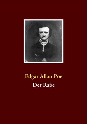 Cover of the book Der Rabe by Rudolf Treumann