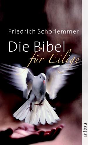 Book cover of Die Bibel für Eilige