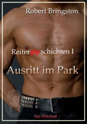 Book cover of Reitergayschichten I: Ausritt im Park