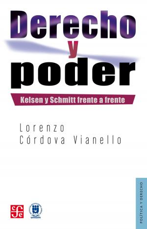Cover of the book Derecho y poder by Christopher Domínguez Michael