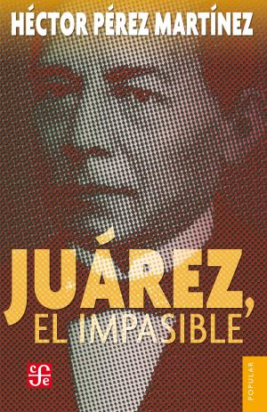 Cover of the book Juárez, el impasible by Wilhelm Worringer